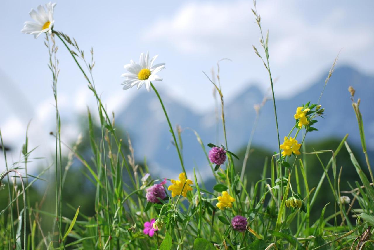 Appartements Blumenwiese Ramsau am Dachstein Buitenkant foto