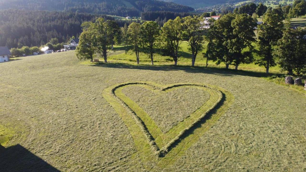 Appartements Blumenwiese Ramsau am Dachstein Buitenkant foto